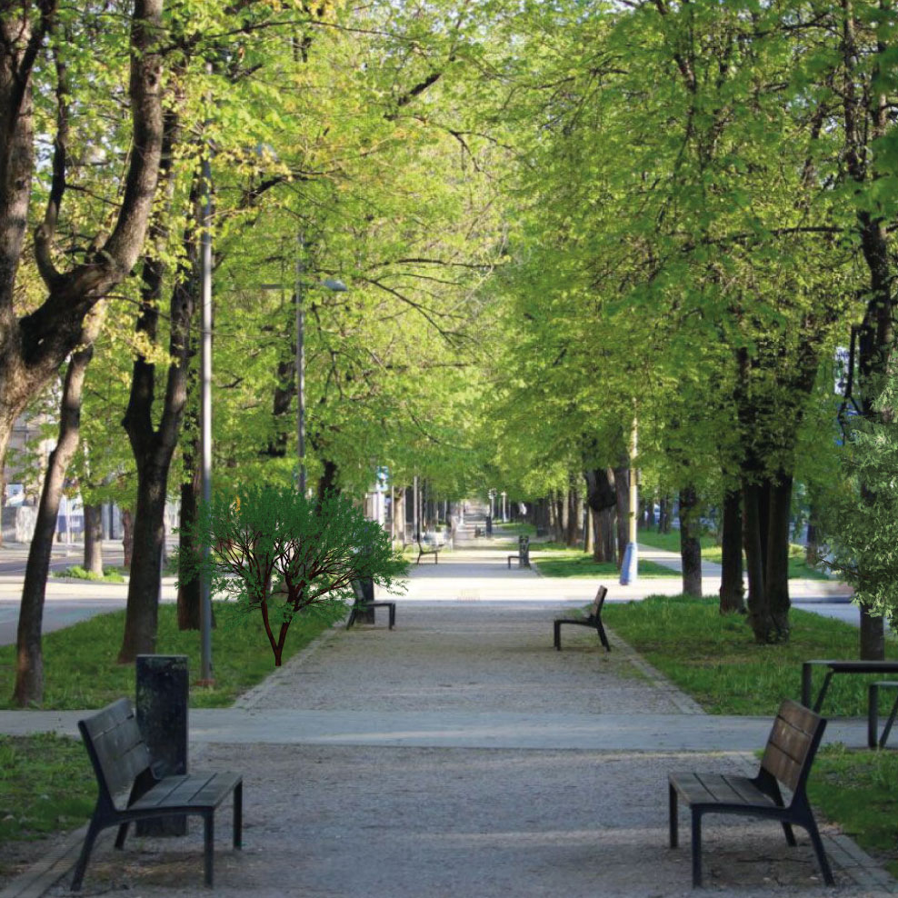 Rezidencia Moyzesova oproti parku